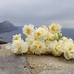 Lejlighed Archipelagos