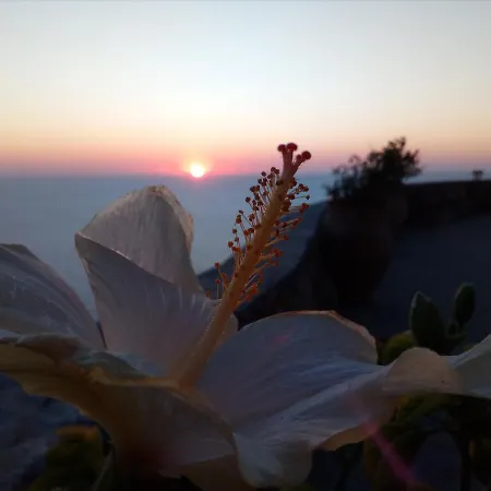 아파트 Archipelagos