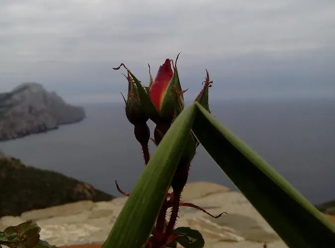 Archipelagos شقة Olympos (Karpathos)